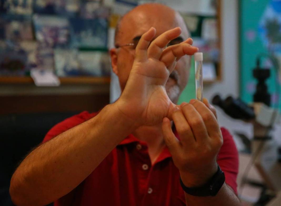 Dünyada ilk kez: Yeni sualtı canlısı türü, Türkiye'nin en derin üçüncü mağarasında keşfedildi! Türk bilim insanlarının başarısı 9